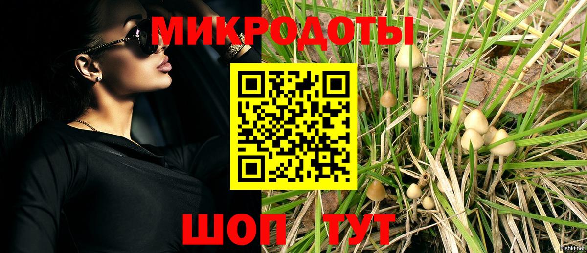 Галлюциногенные грибы прущие грибы Кузнецк