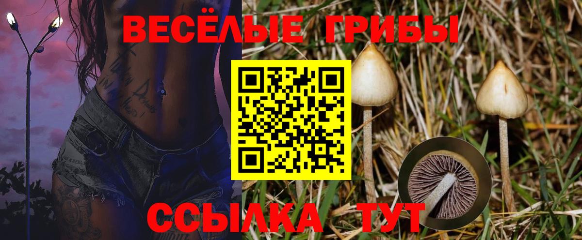Кузнецк  Псилоцибиновые грибы прущие грибы  Вход с VPN 